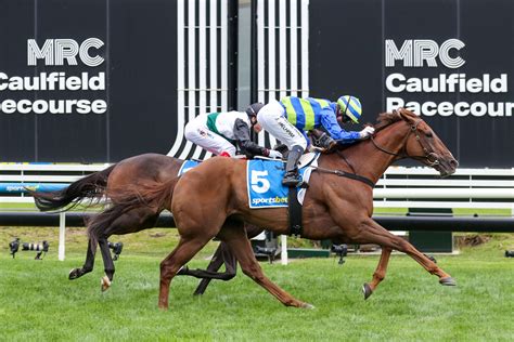 cf orr stakes results|Jacquinot wins the C.F. Orr Stakes: Post Race  .
